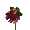 color's ����