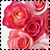 http://www.lakii.com/vb/image.php?u=57576&dateline=1126443118