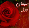 wafa_redrose's 