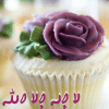 Nehad M.M's 