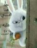 IMG-20180319-WA0020.jpg