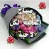 IMG-20180401-WA0003.jpg
