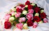 13625_rose_bouquet_w_2560x1600.jpg