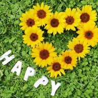 على شاطئ المحبة