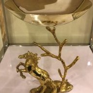 دانة القحطاني