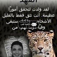 علاء حامد
