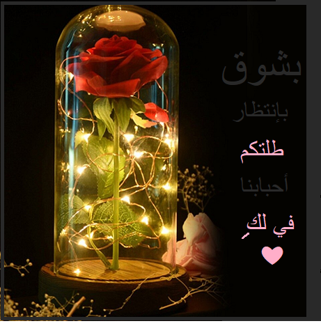 RkHZM402092147.png