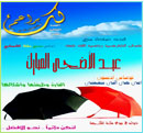 العدد الـثالث عشر