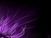 Purple Abstract Wallpaper by xSlaerx