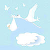 8279736 white stork arrival newborn baby boy