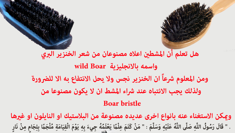 :  akhawat_islamway_1402967825__boar-bristle-brush.png
: 7564
:  166.8 