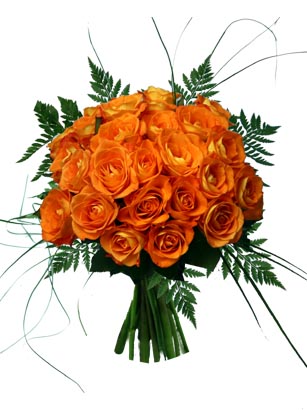 :  orange-roses-galore_zoom-copy.jpg
: 2171
:  46.2 