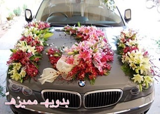 :  ImageUploadedByمنتديات لكي1359042182.977501.jpg
: 2004
:  35.0 