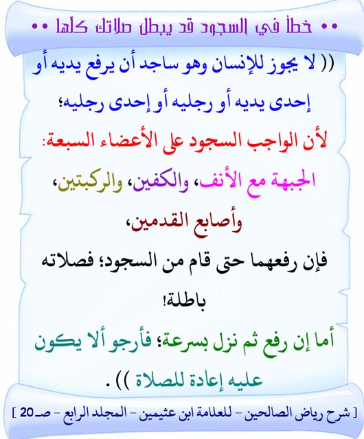 :  ImageUploadedByمنتديات لكي1402501667.122996.jpg
: 5964
:  89.9 