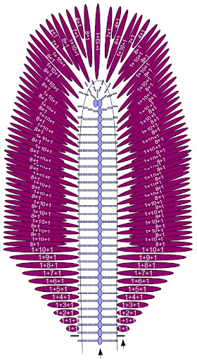 :  iris02.jpg
: 686
:  92.1 