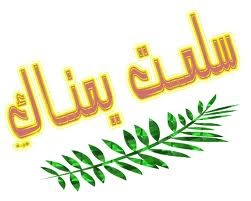 :  ImageUploadedByمنتديات لكي1423999432.984222.jpg
: 2040
:  14.4 