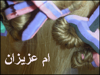 :  omazeez55.gif
: 5337
:  19.4 