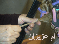 :  omazeez52.gif
: 3396
:  18.1 