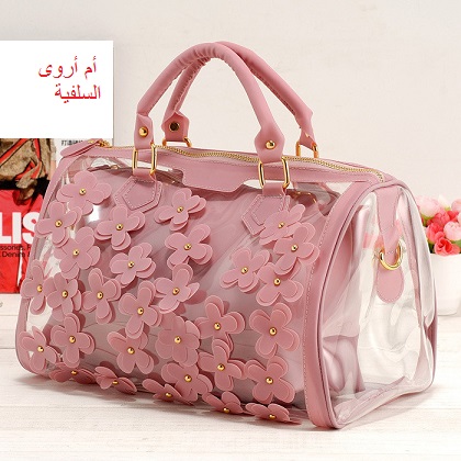 :  Free-shipping-2013-flower-candy-color-jelly-bag-transparent-bags.jpg
: 2776
:  70.8 
