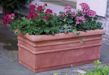 :  windowboxplanters010_large.jpg
: 1530
:  39.5 