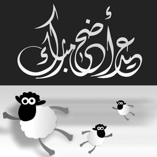 :  خروف العيد.jpg
: 389
:  23.2 