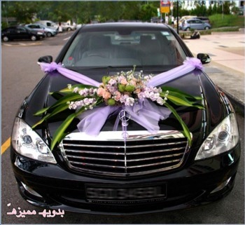 :  ImageUploadedByمنتديات لكي1359042381.202173.jpg
: 1516
:  44.1 