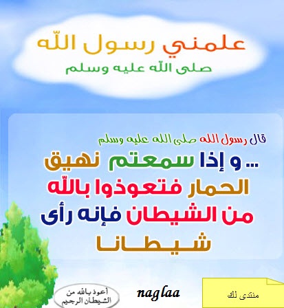 :  نهيق الحمار.jpg
: 5403
:  58.5 