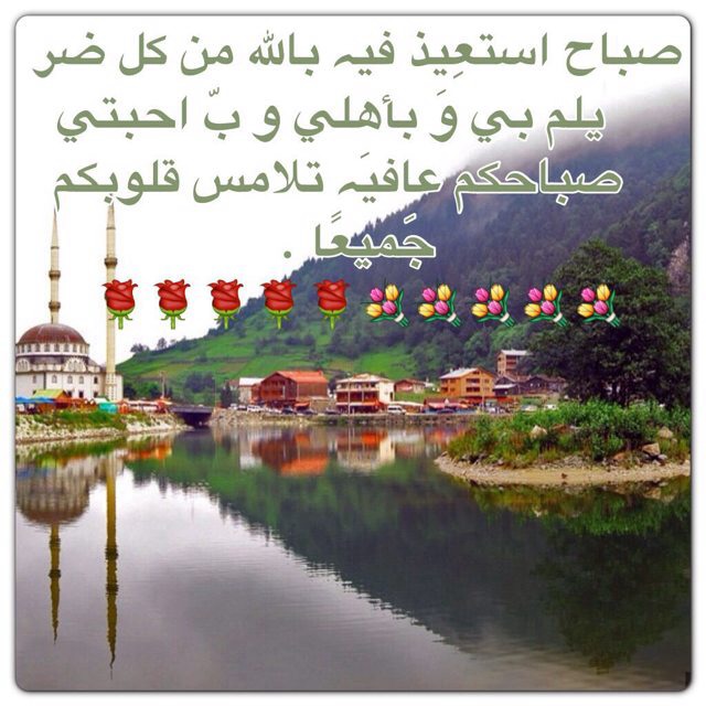 :  ImageUploadedByمنتديات لكي1393130876.339870.jpg
: 776
:  103.8 