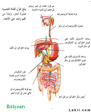 :  1meSaj04140932.png
: 4672
:  127.3 