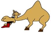 :  Camel_Cartoon-176x114.jpg
: 5457
:  4.2 