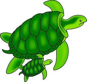 :  cartoon_turtles_0515-1004-2703-2541_SMU.jpg
: 9847
:  30.3 