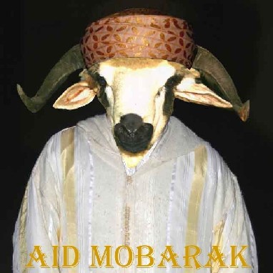 :  Aidmoubarak.JPG
: 58
:  36.8 