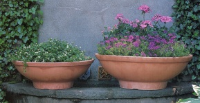 :  bowlplanters021.jpg
: 1400
:  23.1 