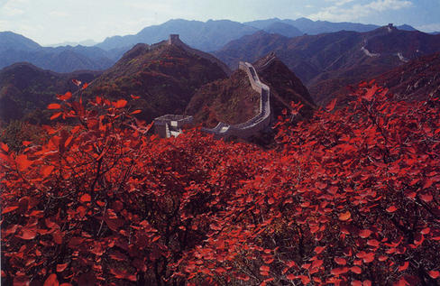 :  293---Grande-Muraille-de-Chine.jpg
: 16012
:  50.8 