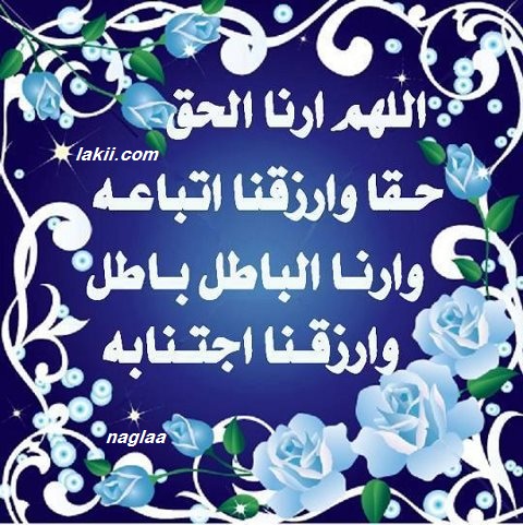 :  الهم ارنا الحق ح&#.jpg
: 8748
:  106.5 