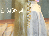 :  omazeez56.gif
: 5220
:  18.6 