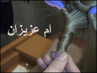 :  omazeez59.gif
: 2858
:  16.9 