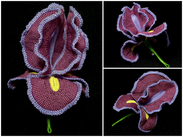 :  crocheted_silk_iris_3.jpg
: 2772
:  124.8 