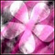 Hajer 86