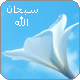 جويرية 22