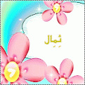 shaier 1cqh0S