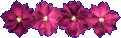 ff%20(82)