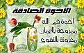 اخوة صادقة