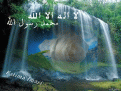 images (17)