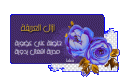 0e35424867fb04
